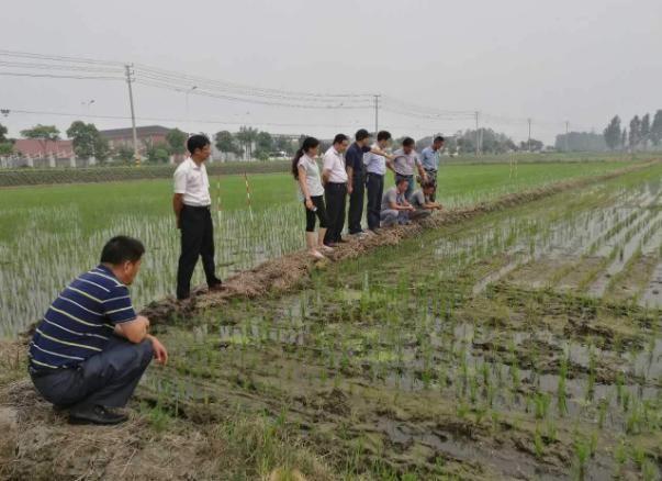 农村分田地的标准是什么？ 农村土地分田到户，是从什么年代开始的？