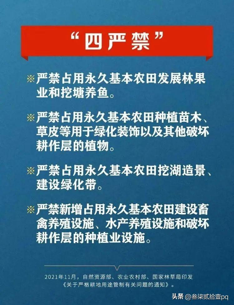 永久基本农田保护条例解读（永久基本农田，什么情形允许占用和调整补划？）